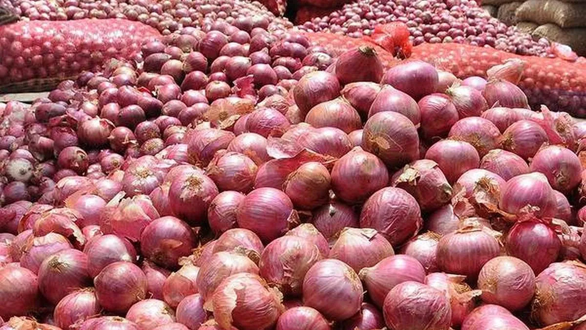 Government allows limited export of Onion with selected...- India TV Paisa