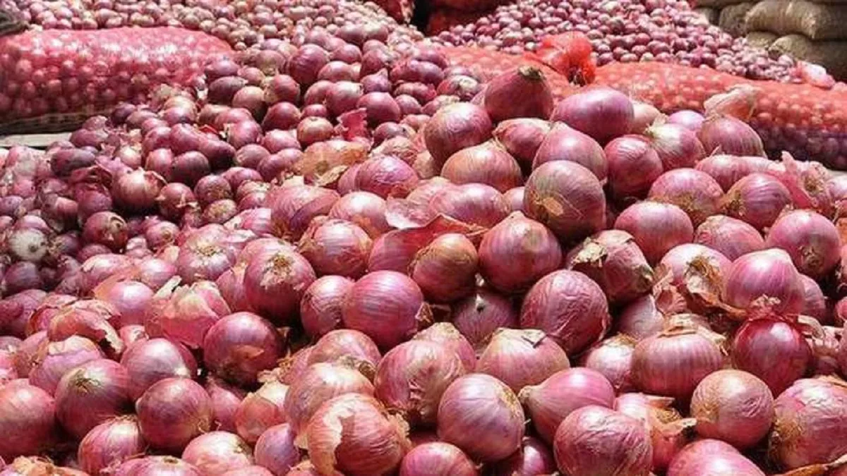 Govt left with 25,000 tonnes buffer stock onion: Nafed- India TV Paisa