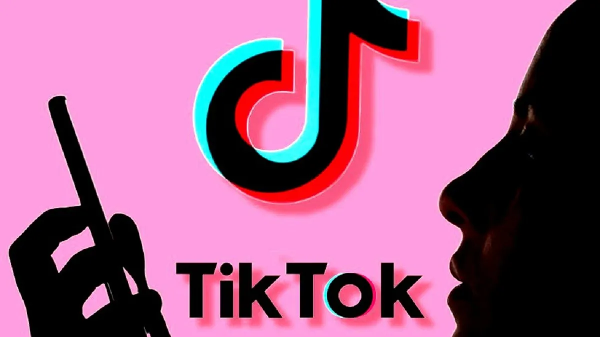 TikTok to tell users why their videos were removed- India TV Paisa