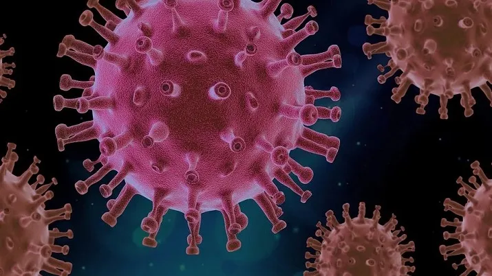 Mutation in novel coronavirus may have made it more contagious: Study- India TV Hindi