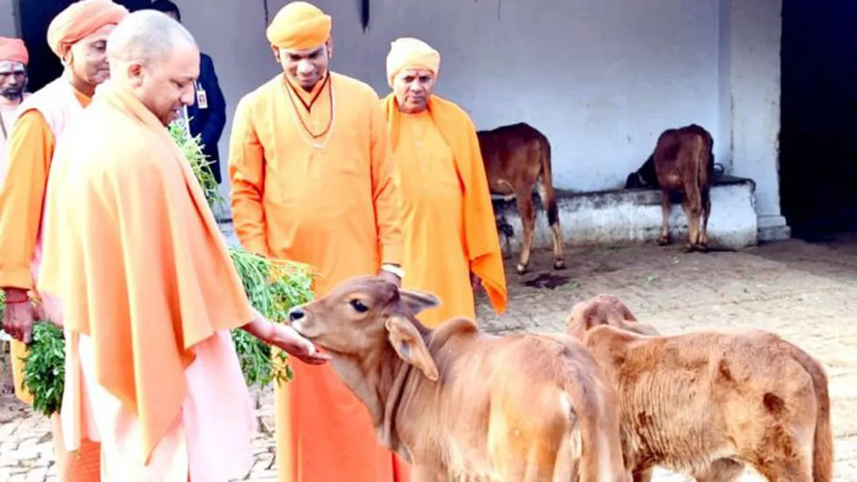 गाय को पालने के पैसे देगी योगी सरकार, किसानों को होगा फायदा- India TV Hindi