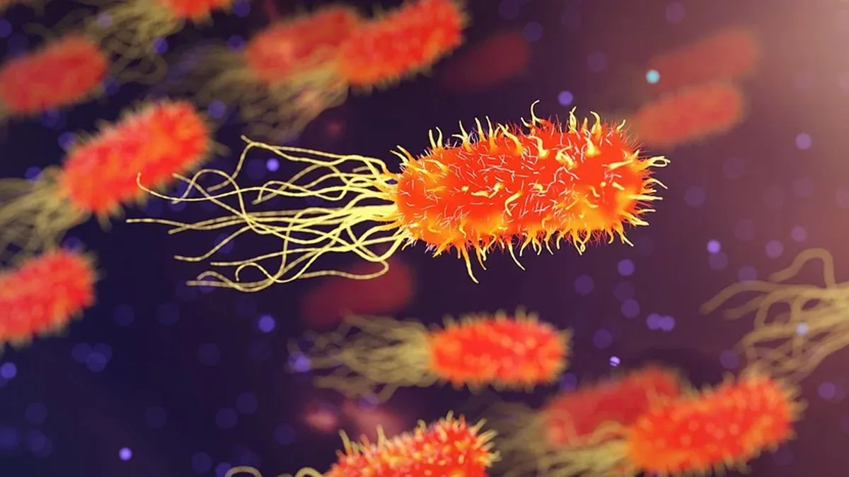 Shigella Kerala, Shigella Infection Kerala, Kerala Coronavirus Updates, Kerala Coronavirus- India TV Hindi