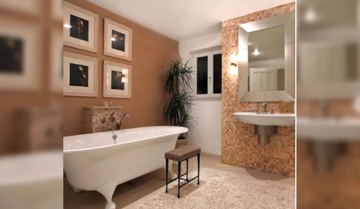 vastu tips for attached bathroom and toilet know about tiles color- India TV Hindi
