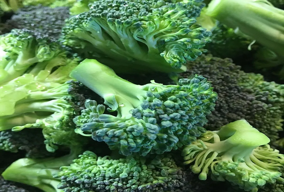 Broccoli- India TV Hindi