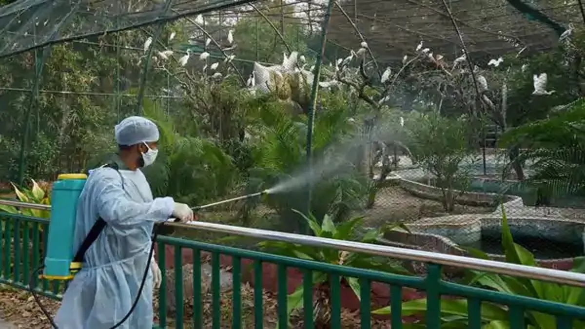 Bird flu scare Sanjay Lake, Hastsal Park, 2 other recreational gardens shut in Delhi- India TV Hindi