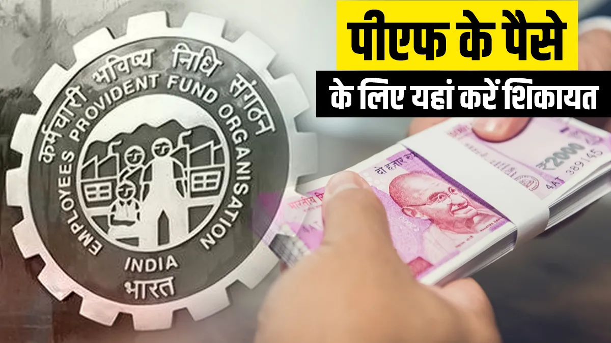 How to complaint for pf amount interest epfo helpline number service know details- India TV Paisa