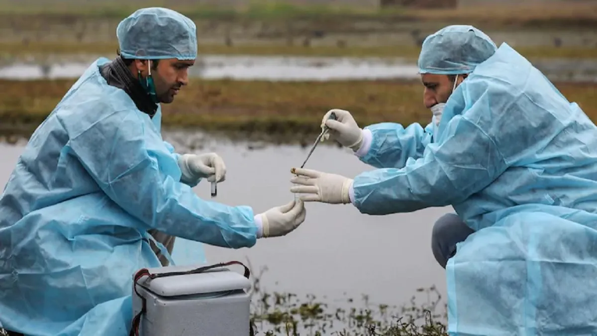 Experts collect samples for the detection of bird-flu- India TV Hindi