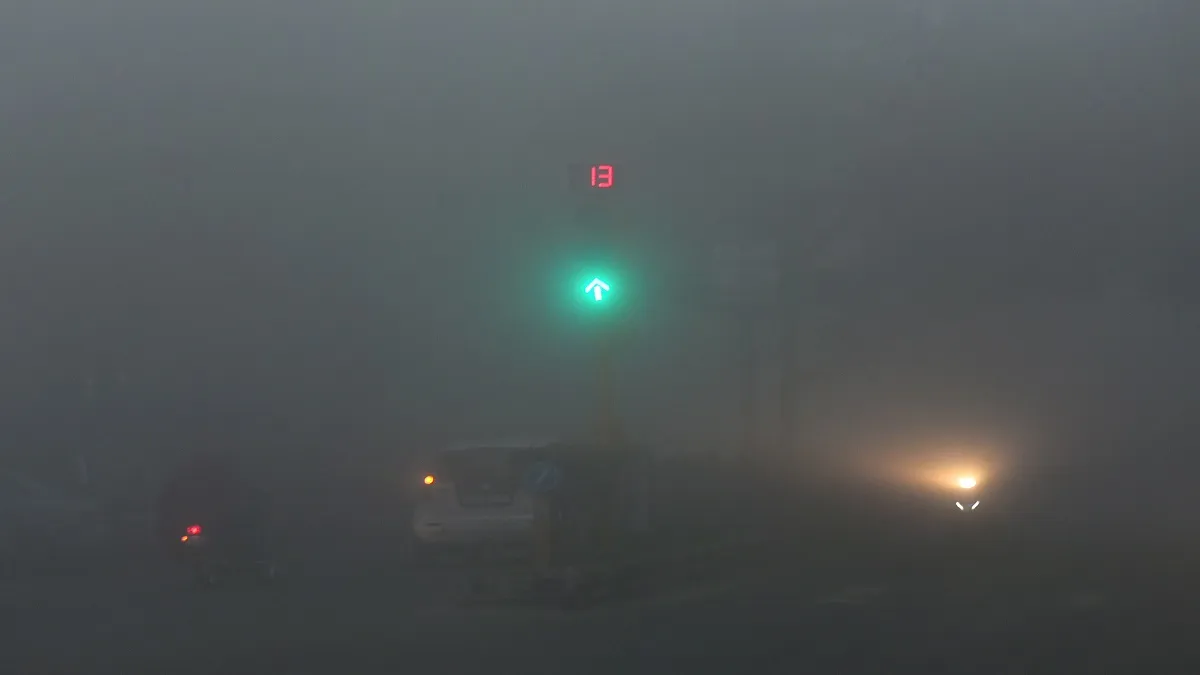 Weather latest News update forecast Delhi lucknow amritsar dense fog zero visibility IMD alert कोहरा- India TV Hindi