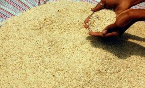चावल का निर्यात बढ़ा- India TV Paisa
