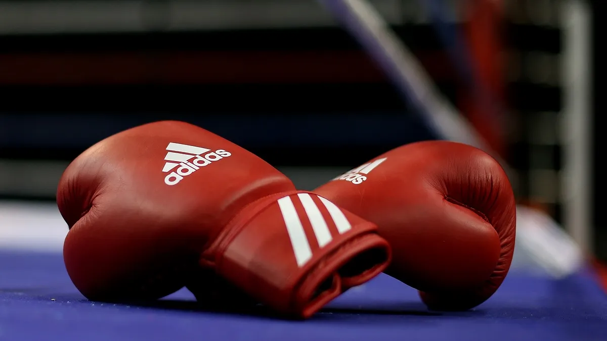 Boxing Gloves- India TV Hindi