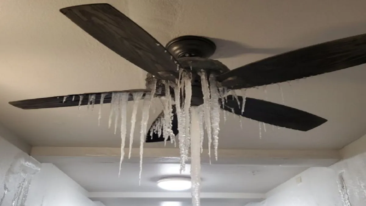 ceiling fan Frozen, ceiling fan Frozen news, ceiling fan Frozen in texas,ceiling fan Frozen in dalla- India TV Hindi