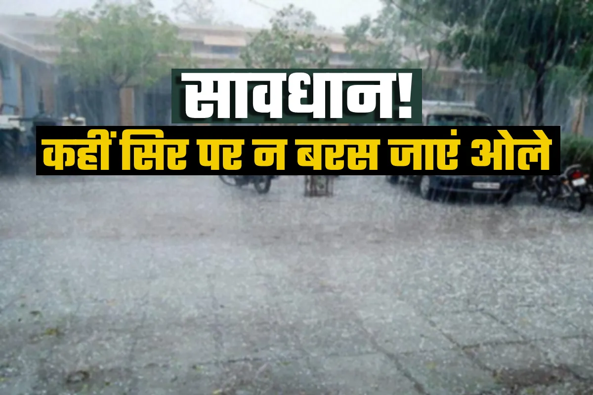 बरस सकते हैं ओले, बारिश की भी चेतावनी, जानिए- अगले कुछ दोनों के मौसम का हाल- India TV Hindi