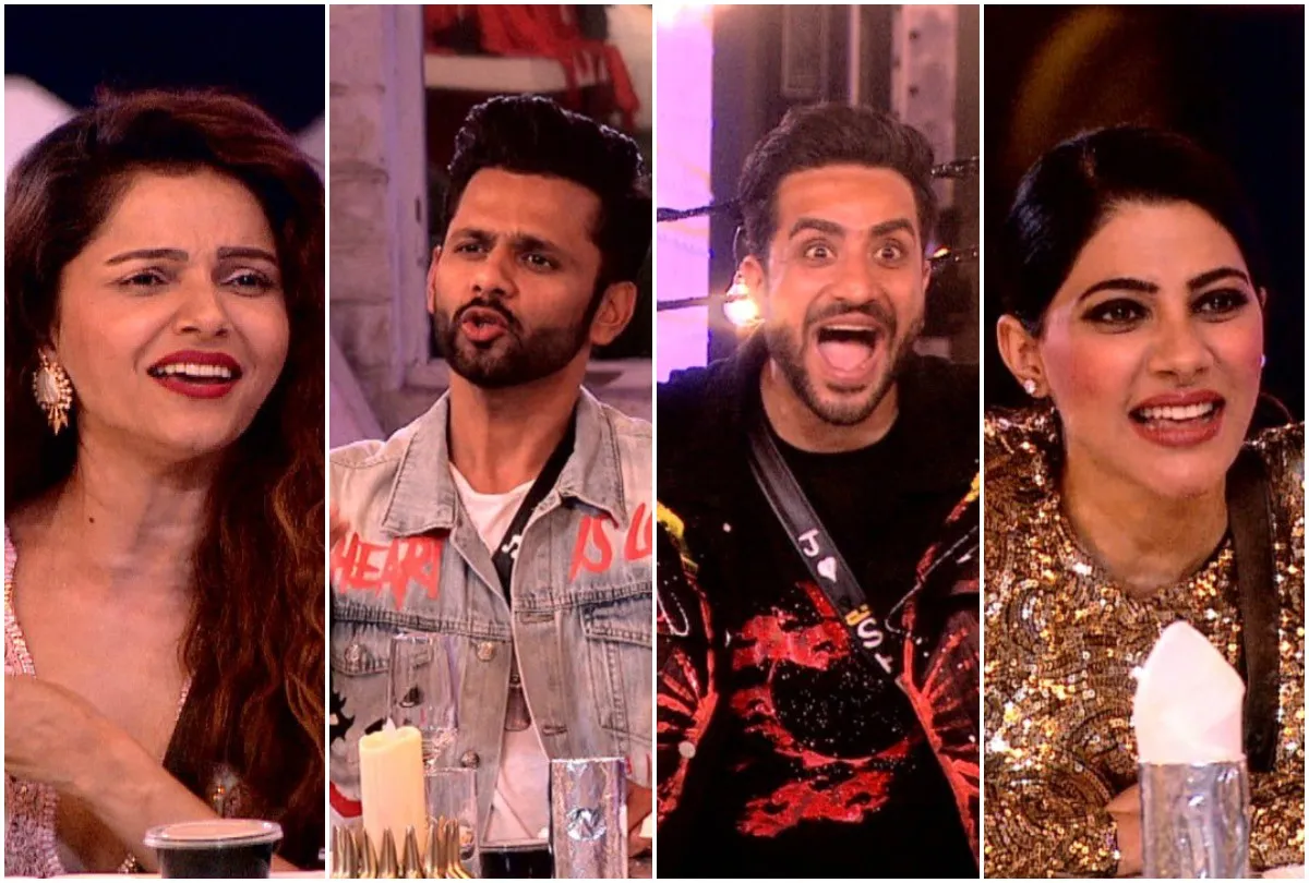 Bigg Boss 14 Contestants- India TV Hindi