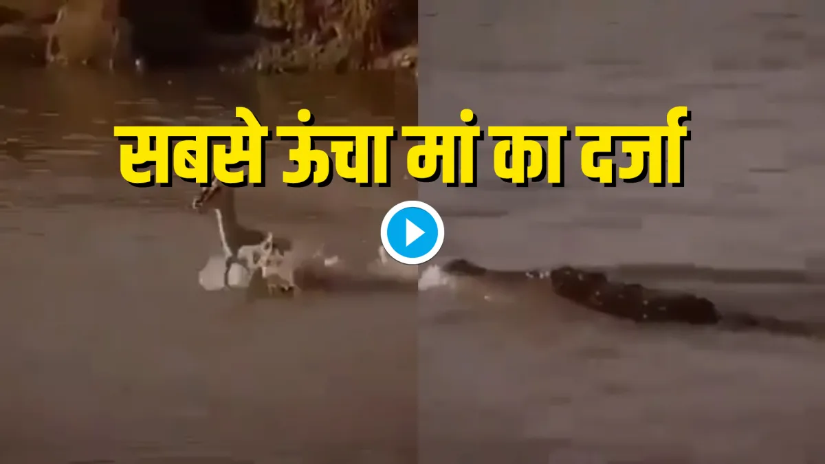 viral video- India TV Hindi