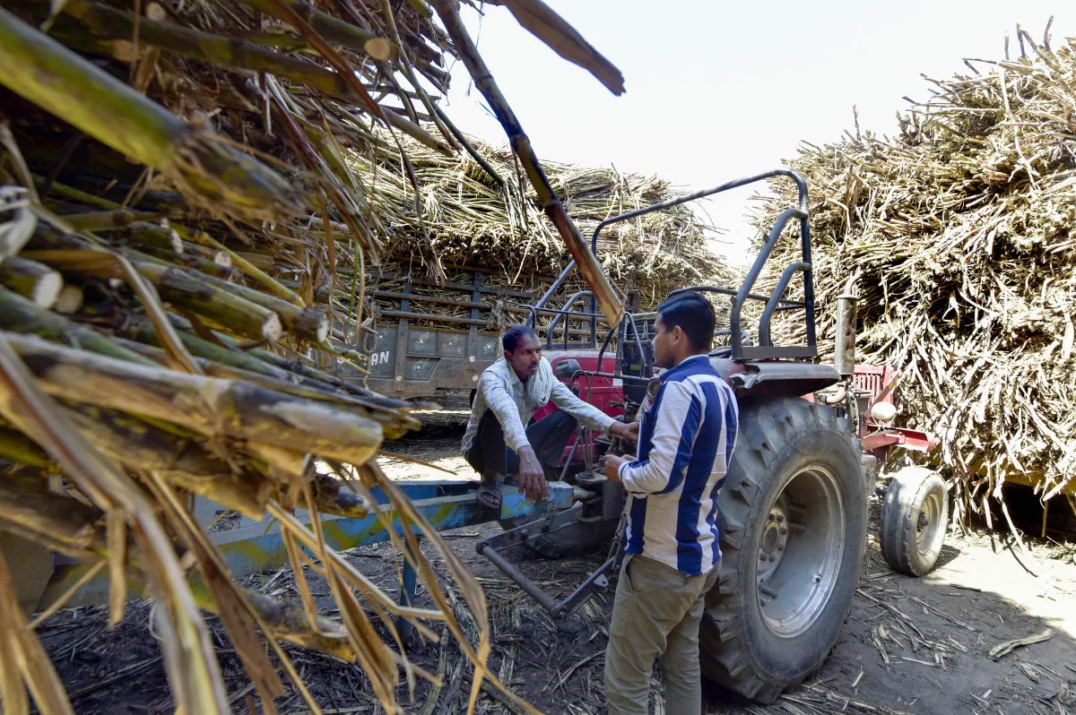 sugarcane farmers- India TV Hindi