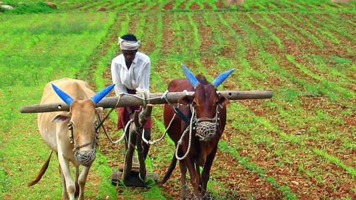 खुशखबरी! यहां सरकार ने 1.13 लाख किसानों का कर्ज माफ किया- India TV Paisa