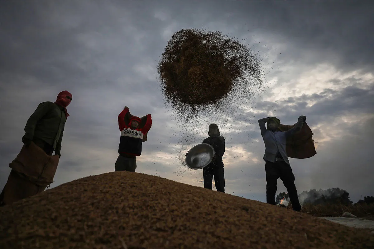 किसानों की आय बढ़ाने...- India TV Paisa