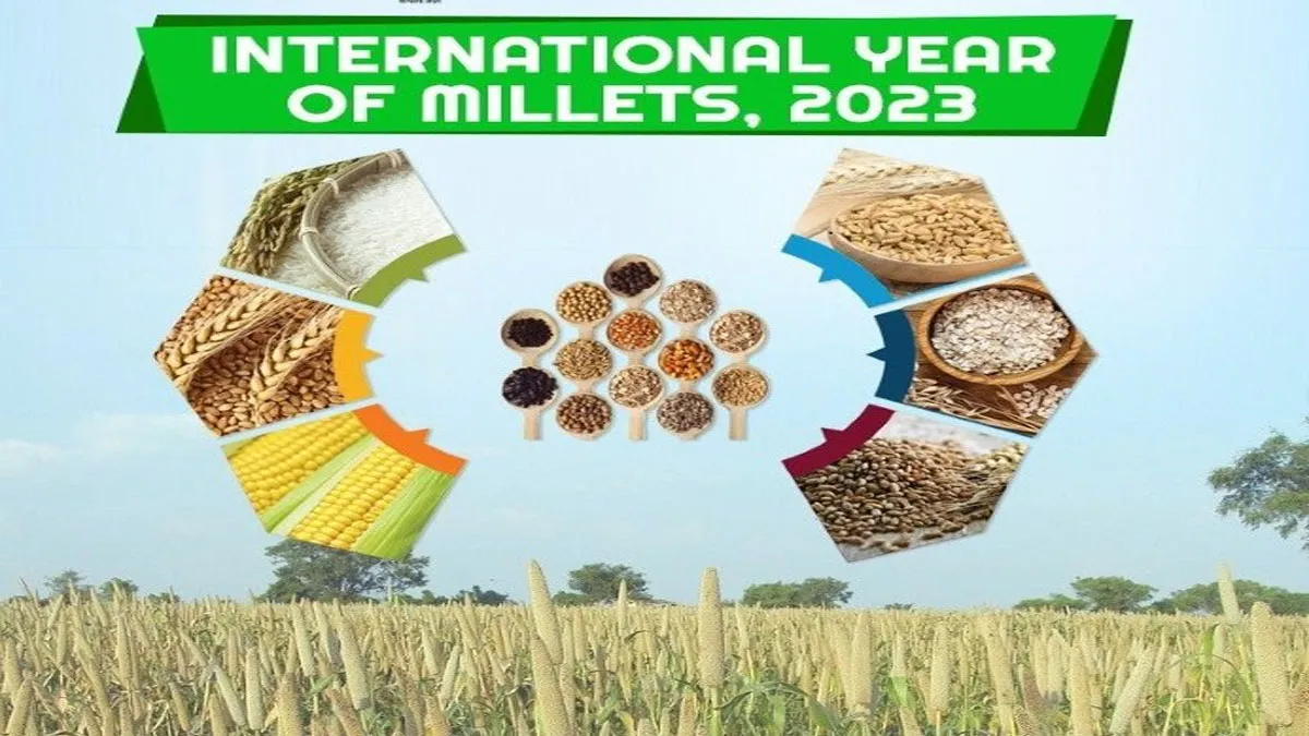 International Year of Millets 2023- India TV Hindi
