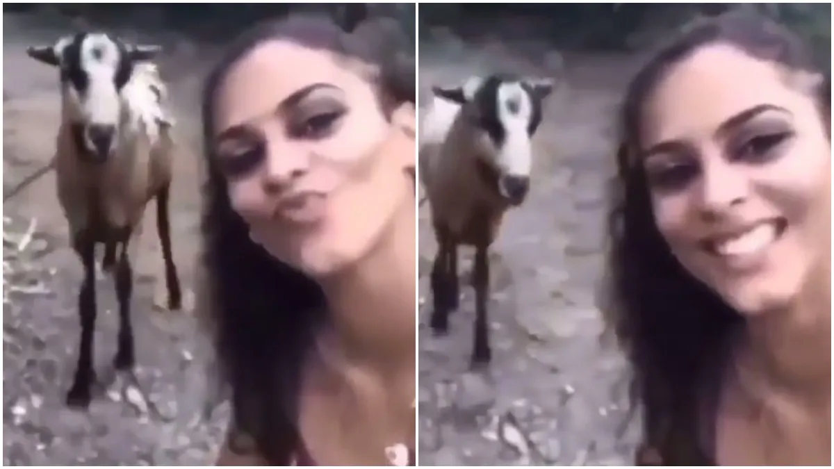 girl taking selfie with goat - India TV Hindi