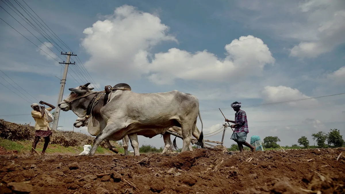 kisan andolan farmer income niti aayog member rames chand statement नए कृषि कानून लागू नहीं हुए, तो - India TV Hindi