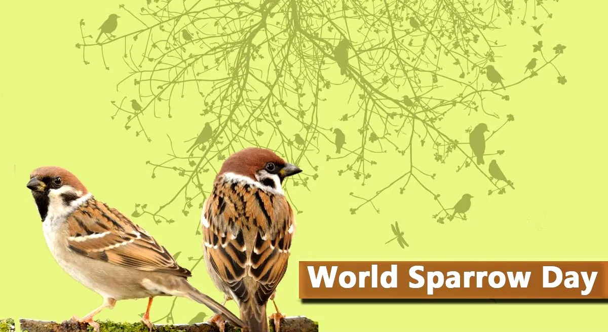 World Sparrow Day 2021 - India TV Hindi