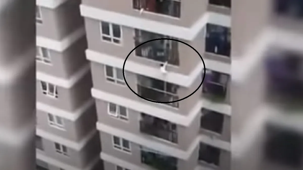 kid fall from 12 floor- India TV Hindi