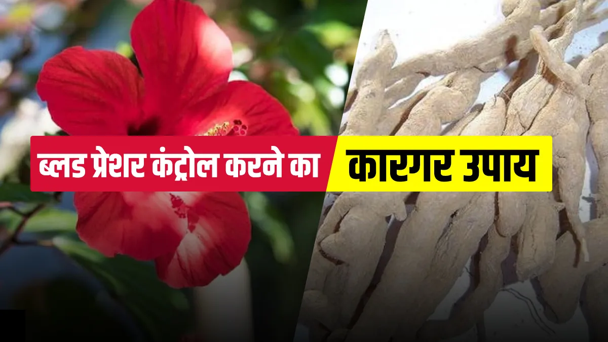 how to control high or low blood pressure naturally at home immediately - India TV Hindi