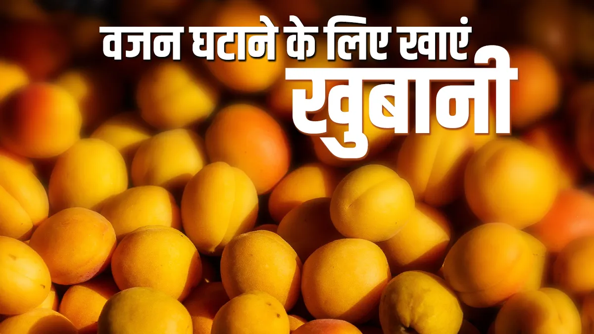 apricot- India TV Hindi
