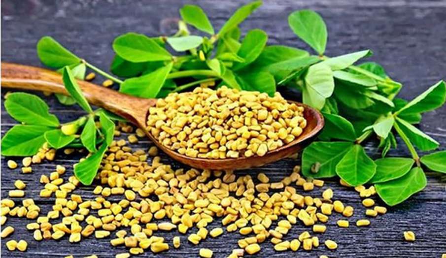 Methi for diabetes know how to consume fenugreek seeds to control blood  sugar naturally: डायबिटीज के मरीज ऐसे करें मेथी दाना का सेवन, नैचुरल तरीके  से ब्लड शुगर होगी कंट्रोल - India TV Hindi News