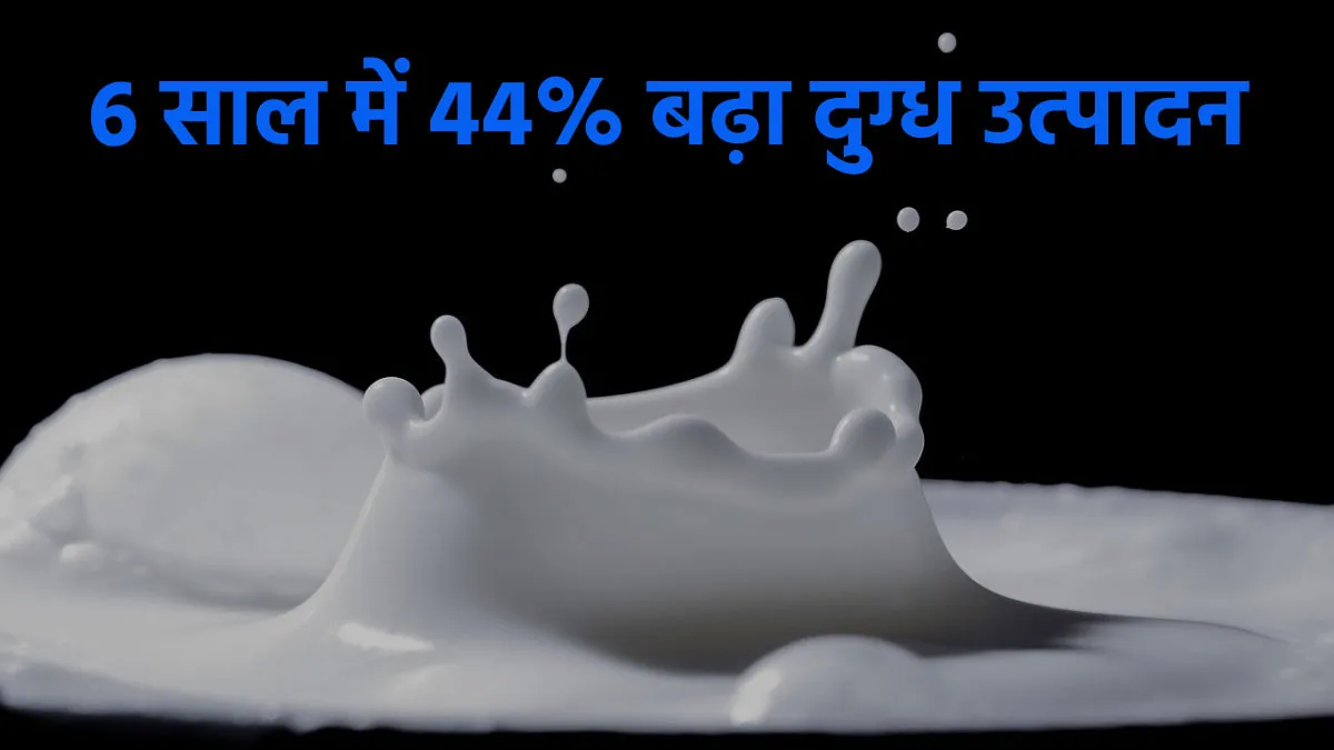 दूध-दूध-दूध वंडरफुल...- India TV Paisa