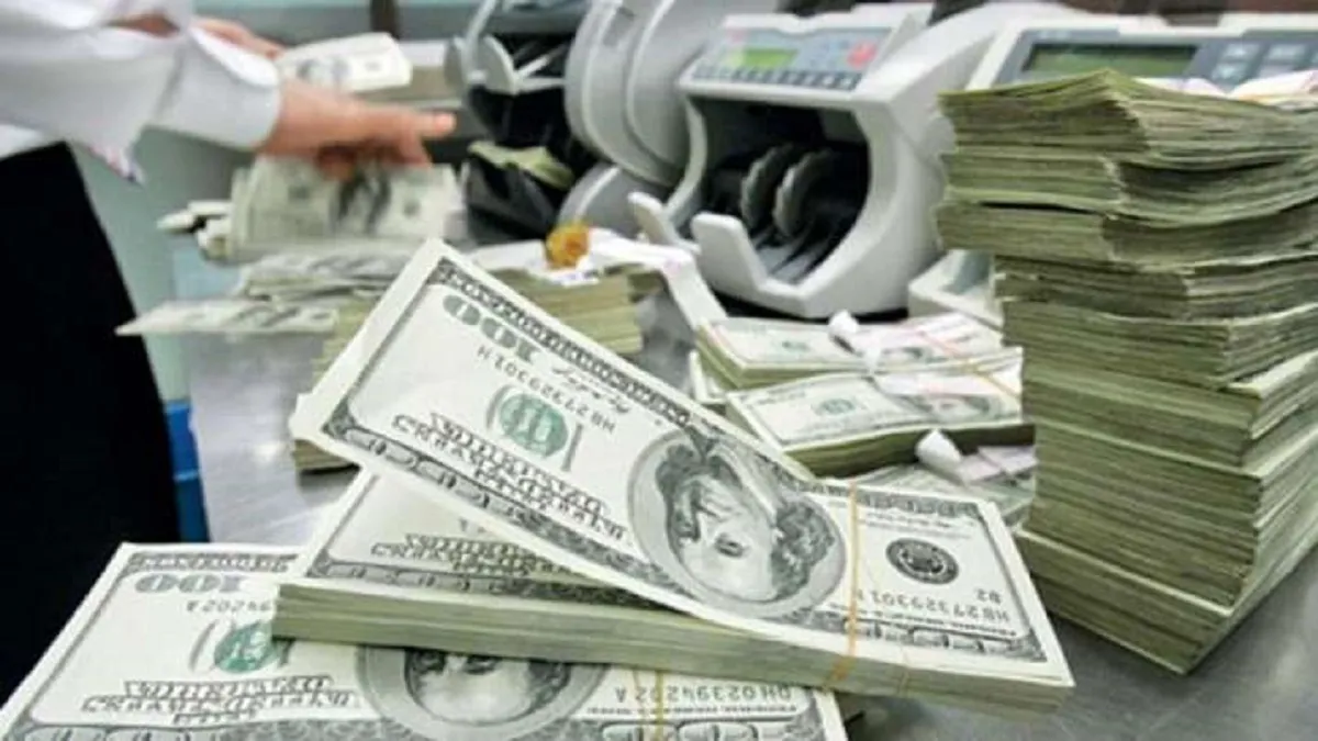 विदेशी मुद्रा भंडार 2.8 अरब डॉलर बढ़कर 592.894 अरब डॉलर के रिकॉर्ड ऊंचाई को छुआ- India TV Paisa