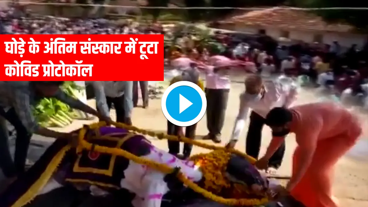 Covid Rules broken in Horse Funeral watch video Maradimath area of Belagavi घोड़े के अंतिम संस्कार म- India TV Hindi