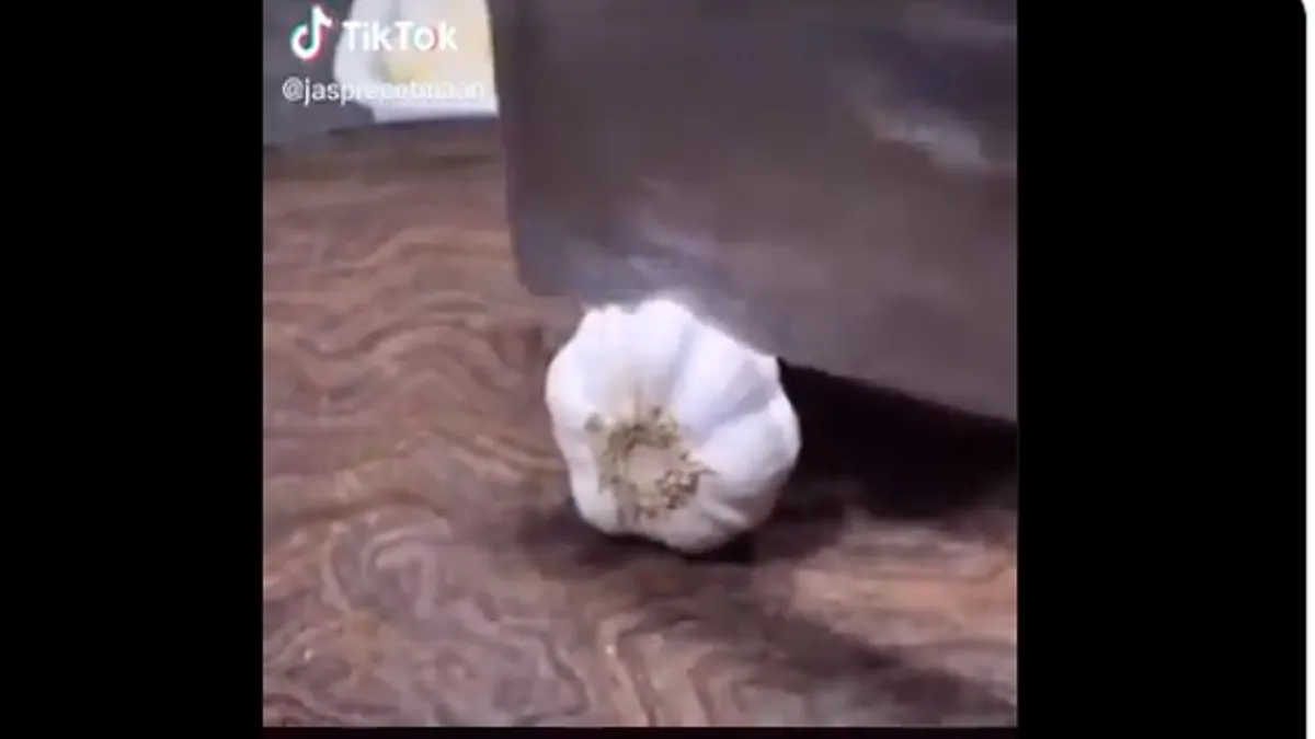 garlic peeling trick- India TV Hindi