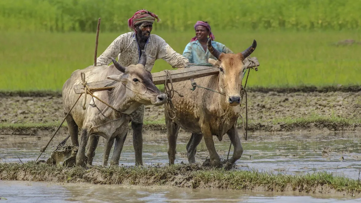 कोविड के बीच खेती के...- India TV Paisa