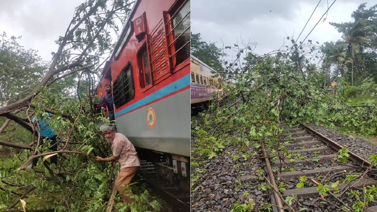 tauktae cyclone tree falls on train at Majorda Madgaon several trains cancelled दिखाई दे रहा तूफान '- India TV Hindi