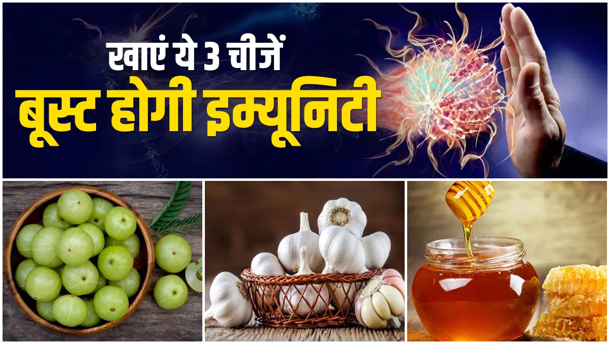 Garlic Honey Amla boost immunity- India TV Hindi