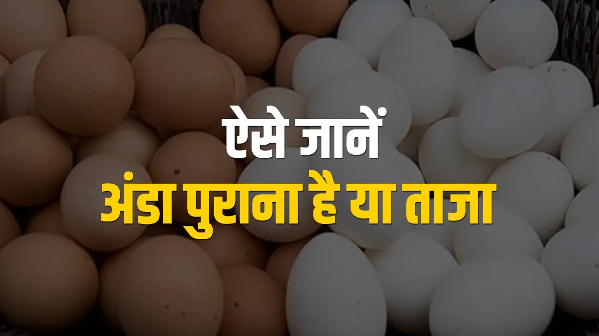 know eggs fresh or not - India TV Hindi