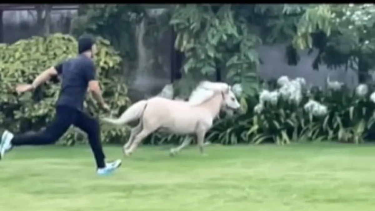 Dhoni was seen racing with a horse, wife Sakshi shared the video- India TV Hindi