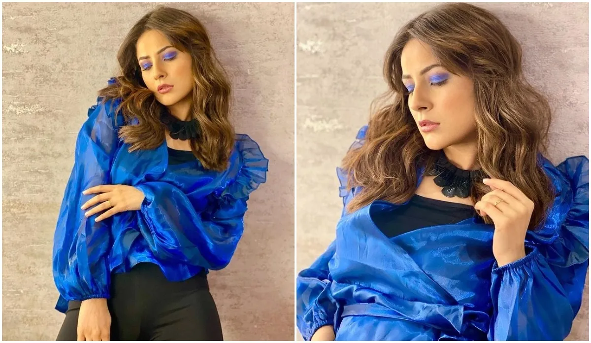 shehnaaz gill looks like butterfly in her latest photoshoot in blue dress - India TV Hindi