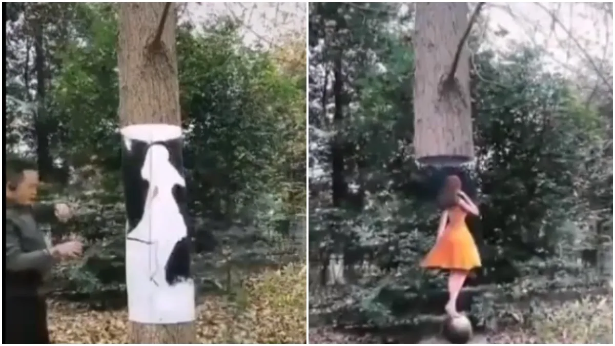 Tree art- India TV Hindi