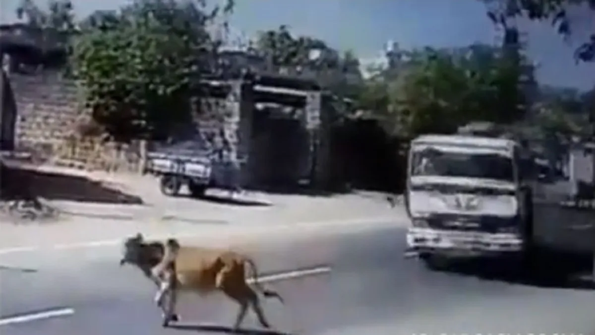 truck video- India TV Hindi