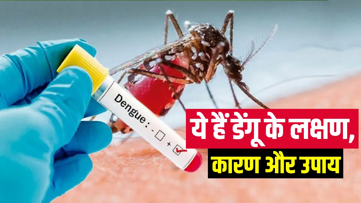 Know all about Dengue - India TV Hindi