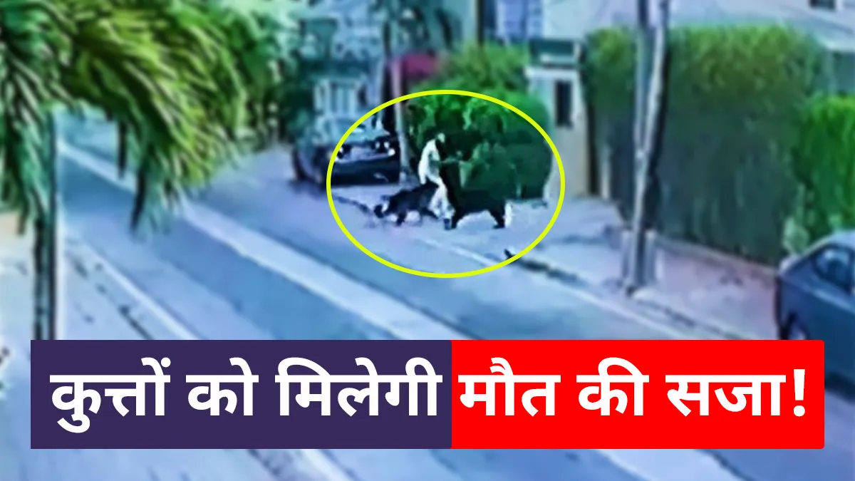 pet dogs given death sentence for attacking senior advocate in karachi pakistan कुत्तों की दी जाएग- India TV Hindi