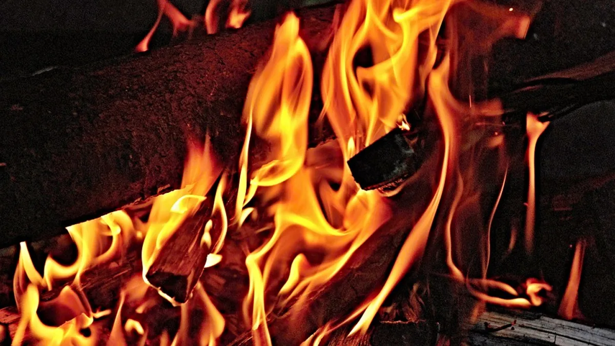 Madhya Pradesh, Madhya Pradesh Girl Immolate, Madhya Pradesh Girl Harassment- India TV Hindi