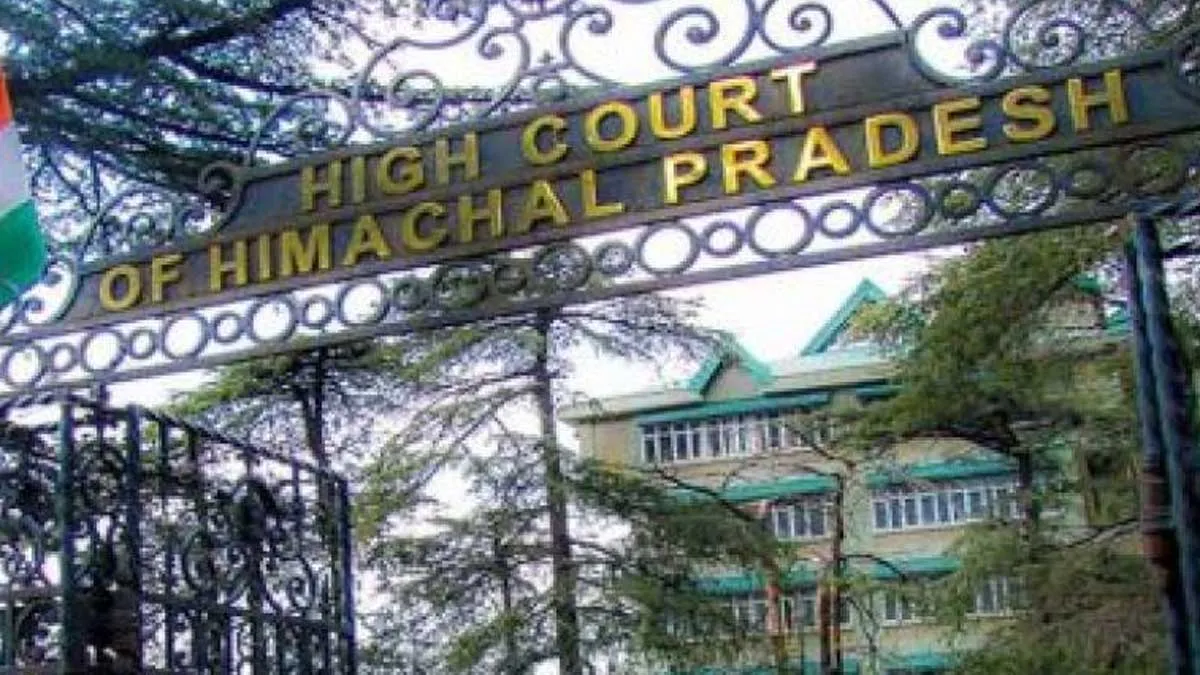 Himachal Pradesh High Court, Himachal Pradesh High Court Pregnant Women- India TV Hindi