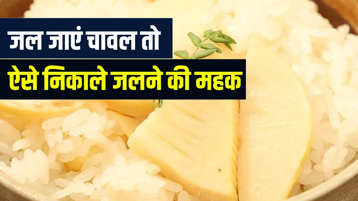 How to get rid of burnt smell from cooked rice- India TV Hindi
