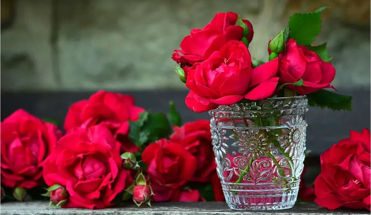 rose petals for positive vibes in home according to vastu shashtra ghar me sakaratmakta ke liye upay- India TV Hindi