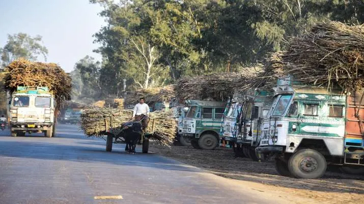 गन्ना किसानों को बड़ा...- India TV Paisa