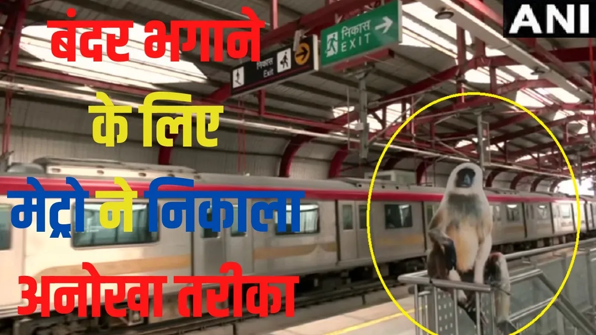 Lucknow Metro Rail places langurs cutouts at nine metro stations Metro Stations पर बंदरों को डराने क- India TV Hindi