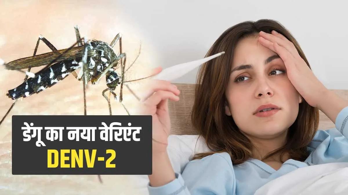 Dengue D2 Variant Symptoms - India TV Hindi